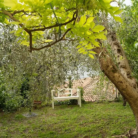180 Garden View Apartment Malcesine
